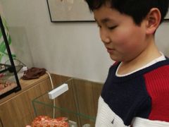 -藦茜花园宠物主题亲子互动体验馆(国顺东路店)