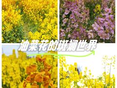 -白鹭湾湿地公园