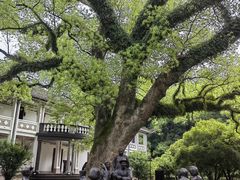 -蒋氏故居