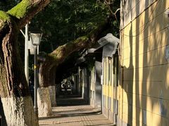 -颐和路民国时期公馆风貌区
