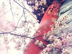 -西北湖绿化广场