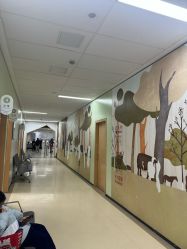 -上海交通大学医学院附属上海儿童医学中心(陆家嘴总院区)