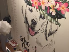 -拾光·小碗甜品