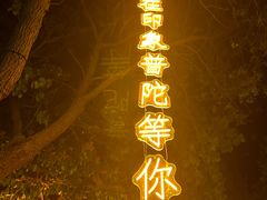 -印象普陀