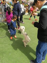 -萌宠亲子动物乐园(槐房万达店)