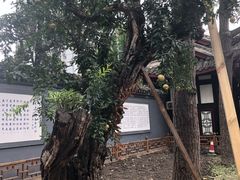 -大妙火锅·非物质文化遗产(东湖公园店)