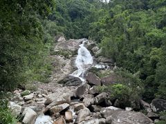 -海南热带雨林国家公园吊罗山景区