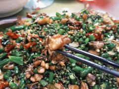 -铁山坪森林公园