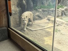 -杭州野生动物世界