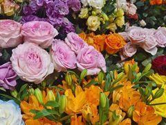 -FEI FEI FLOWER鲜花店·气球派对·宝宝宴布置(虹口德必运动Loft店)