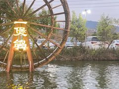 -一煲鸽