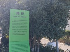-映月湖中央公园