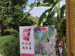 -新地休闲农场
