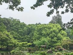 -杭州植物园