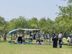 -瑶湖郊野森林公园