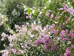 -徐家汇源景区-衡山公园