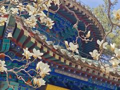 -潭柘寺景区