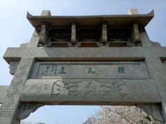 -樱花山风景区