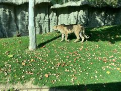 -北京野生动物园
