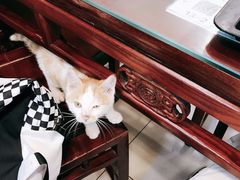 -河州春清真西北特色美食(虎踞路店)