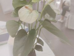 -眉州东坡(通州店)