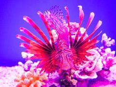 -石家庄极地海洋世界