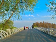 -贡湖湾湿地公园