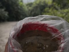 -火炉山森林公园