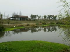 -桤木河湿地公园