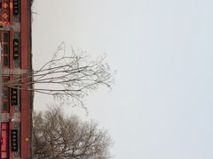 -北京国子监胡同