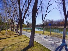 -大兴滨河森林公园