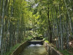 -广东温泉宾馆