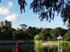 -四海公园(南山区)