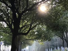 -南京奥林匹克体育中心-体育馆