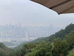-南山植物园