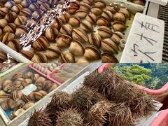 -南沙十九涌渔人码头-南门