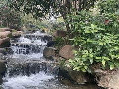 -中国茶叶博物馆(双峰馆区)