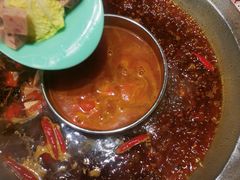 -田鸭肠·非遗火锅(彭州店)
