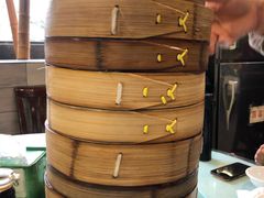 -花园茶楼(兴城西路店)