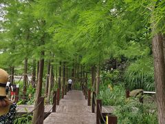 -重庆彩云湖湿地公园