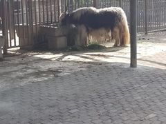 -无锡动物园·太湖欢乐园