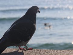 -灌篮高手动画打卡地