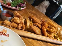 -百好乐宠物友好餐厅(朝外大街店)