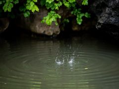 -檀园