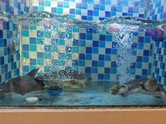 -野渡坡·极致湘菜·庭院餐厅(汉阳店)