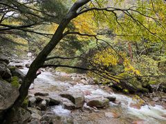 -青峰峡国家森林公园