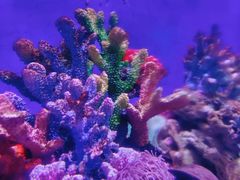 -海合安武汉极地海洋公园