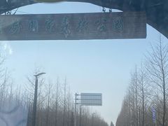 -黄海国家森林公园