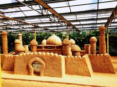 -南宫五洲植物乐园