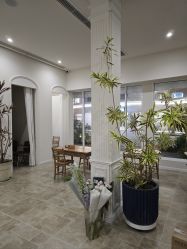 -WAVE SODA摄影工作室